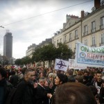 Manif de soutien à la ZAD de Notre-Dame des Landes. Nantes 24/11/12 009